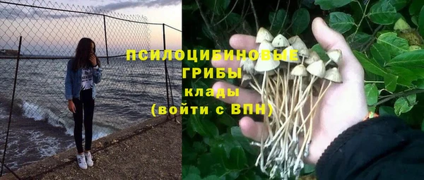 амф Надым