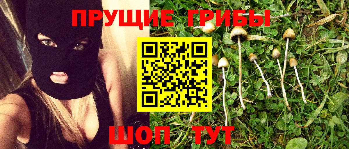 Псилоцибиновые грибы мицелий Кандалакша