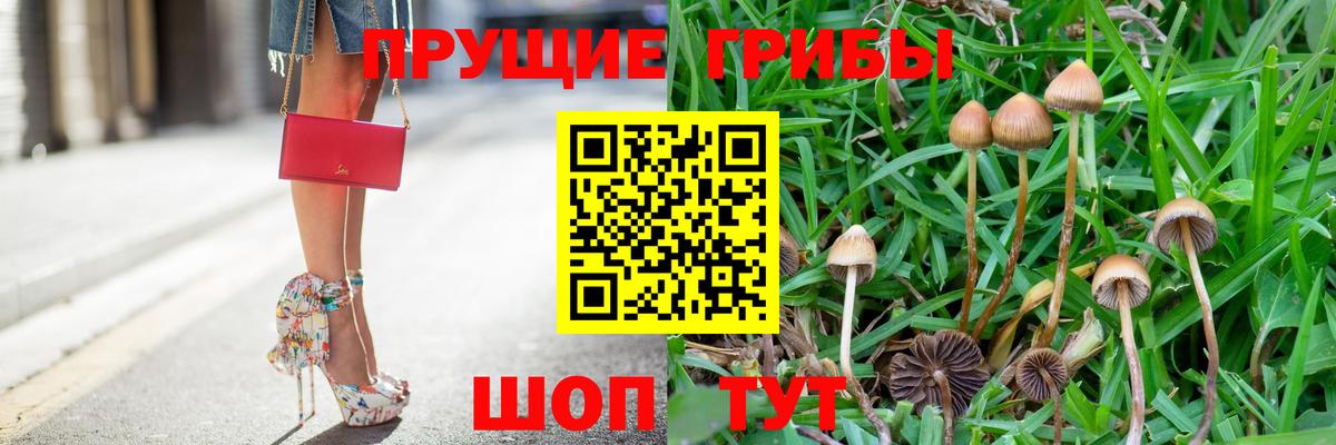 Кандалакша  Галлюциногенные грибы мухоморы  где найти   Вход с VPN  Галлюциногенные грибы мухоморы 