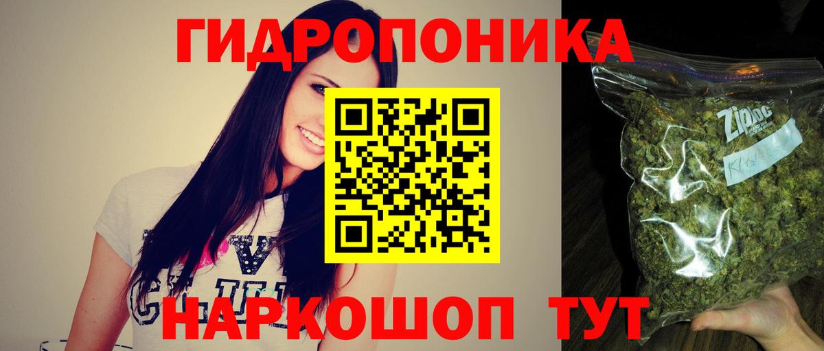 Бошки Шишки AK-47  Каннабис Amnesia  Вход с VPN  Кандалакша  Бошки Шишки SATIVA & INDICA 